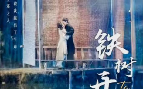 铁树开花 第1-40集