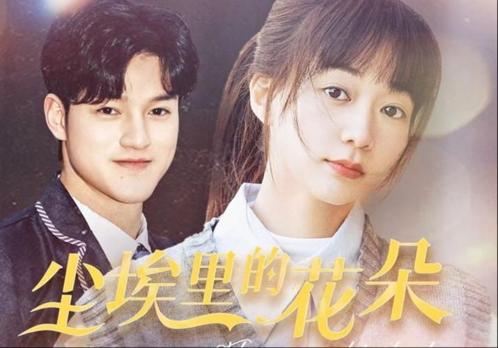 尘埃里的花朵 全集(大结局)