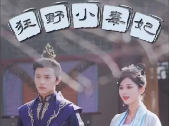 狂野小毒妃 全集 (上)(大结局)