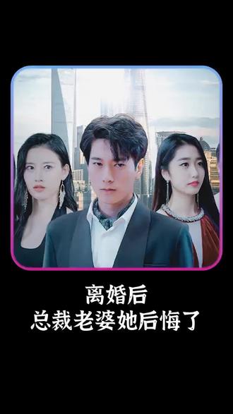 离婚后，总裁老婆她后悔了 16-30集