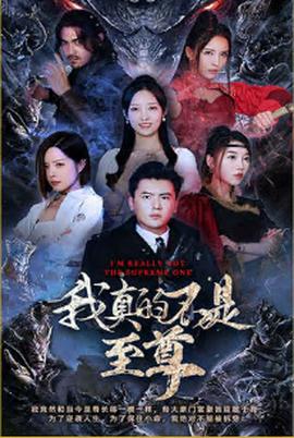 我真的不是至尊 全集(大结局)