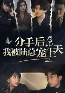 分手后，我被陆总宠上天 全集(大结局)