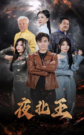 夜北王 全集(大结局)