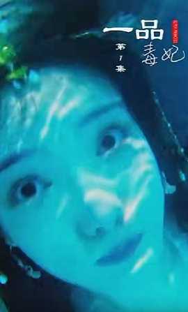 一品毒妃 全集(大结局)