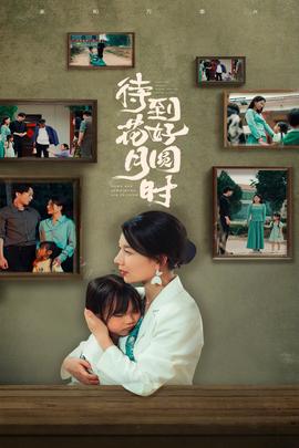 待到花好月圆时 全集(大结局)