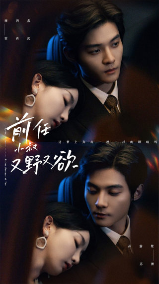 前任小叔又野又欲 全集(大结局)