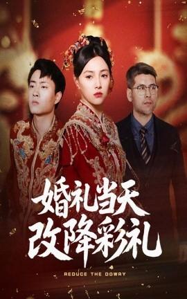 婚礼当天改降彩礼 第21-40集