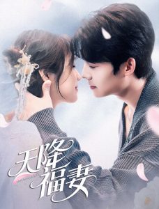天降福妻 全集(大结局)