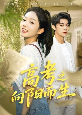 高考之向阳而生(全集)