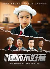 律师不好惹(全集)