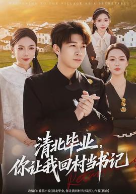清北毕业，你让我回村当书记(全集)